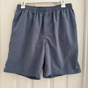 Chubbies Shorts